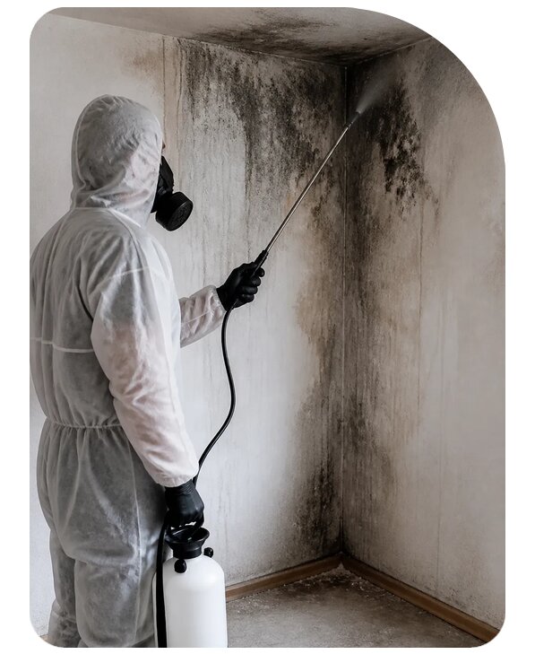 Обработка от плесени и грибка в Нижнем Тагиле по цене от 4684 р. | Сенат-Нжн